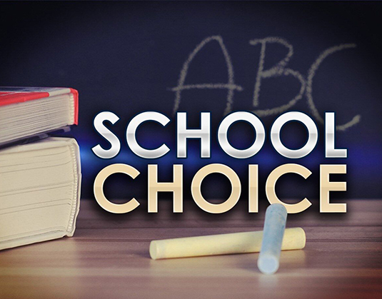 School Choice with books and chalk