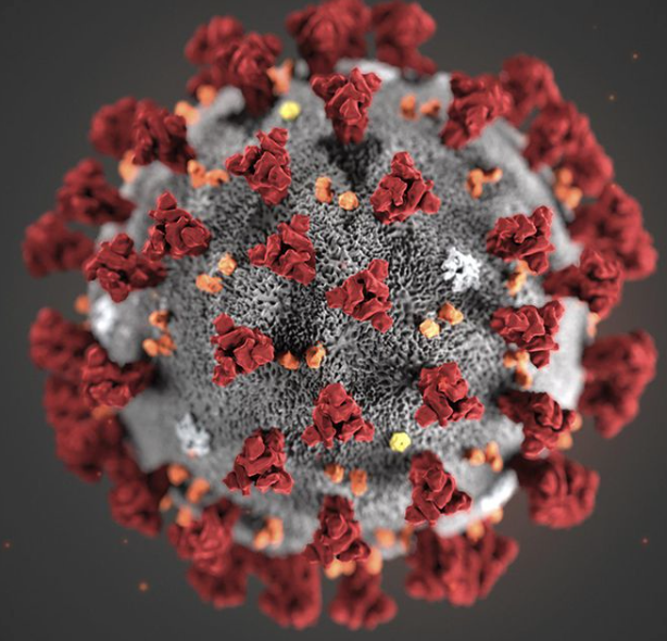 Corona virus image